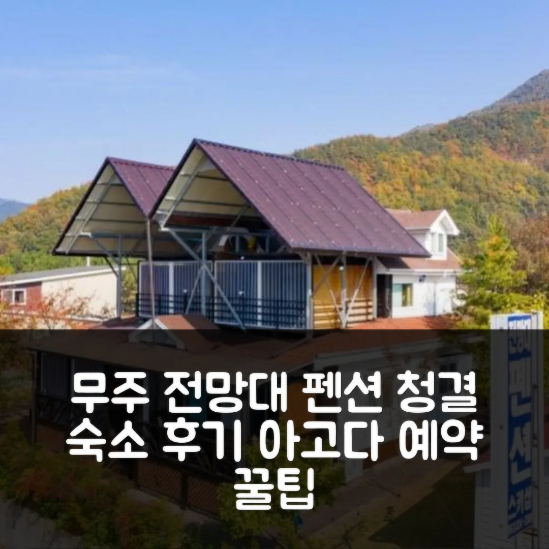 무주 전망대펜션 청결 숙소 후기 앤 예약 꿀팁