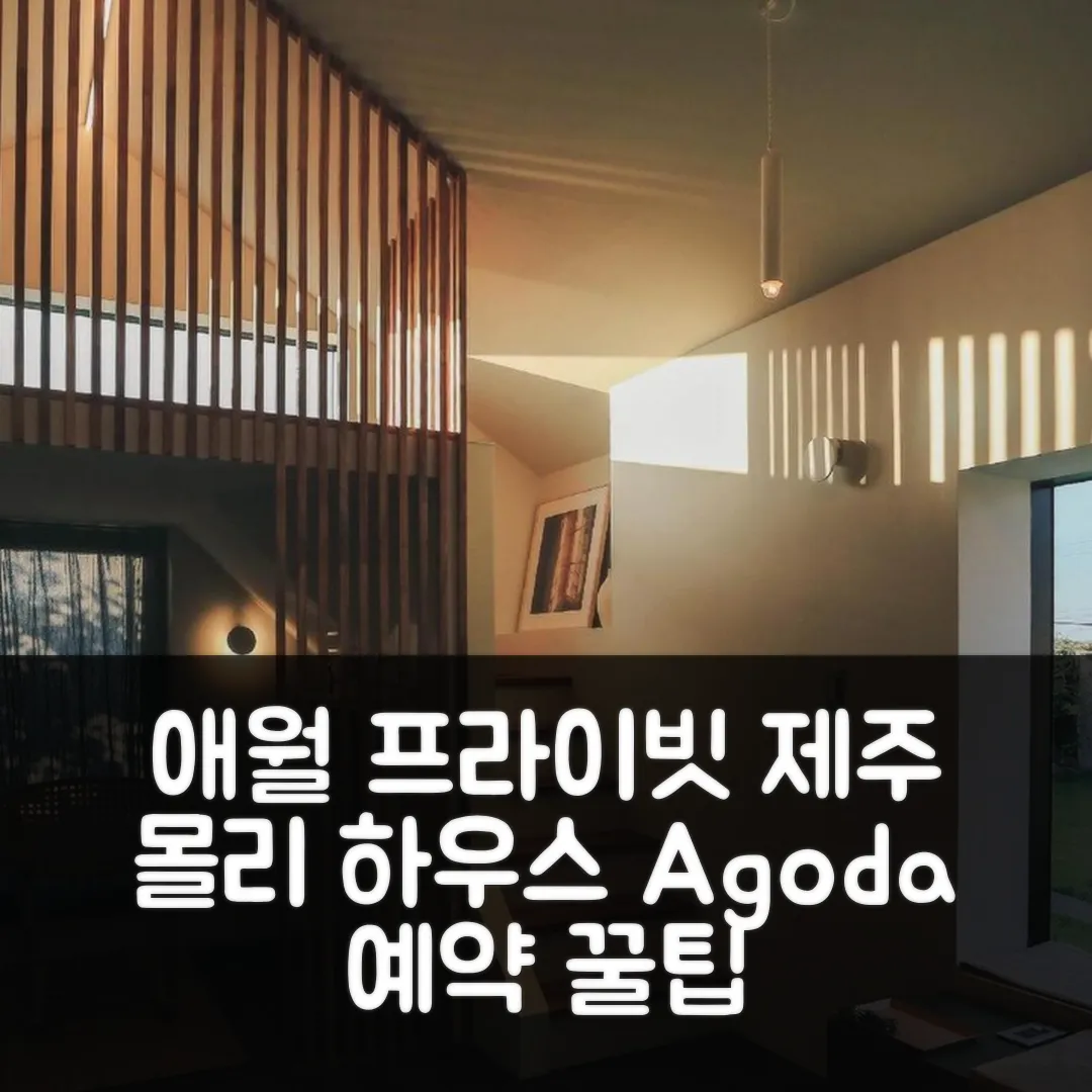애월의 프라이빗 하우스 몰리 제주 후기 앤 예약 꿀팁