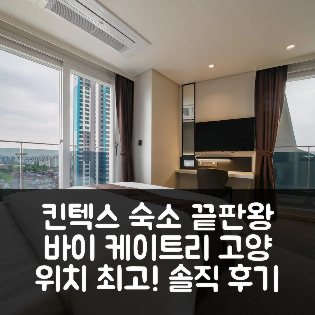 킨텍스 바이 케이트리 고양 후기! 위치 최고