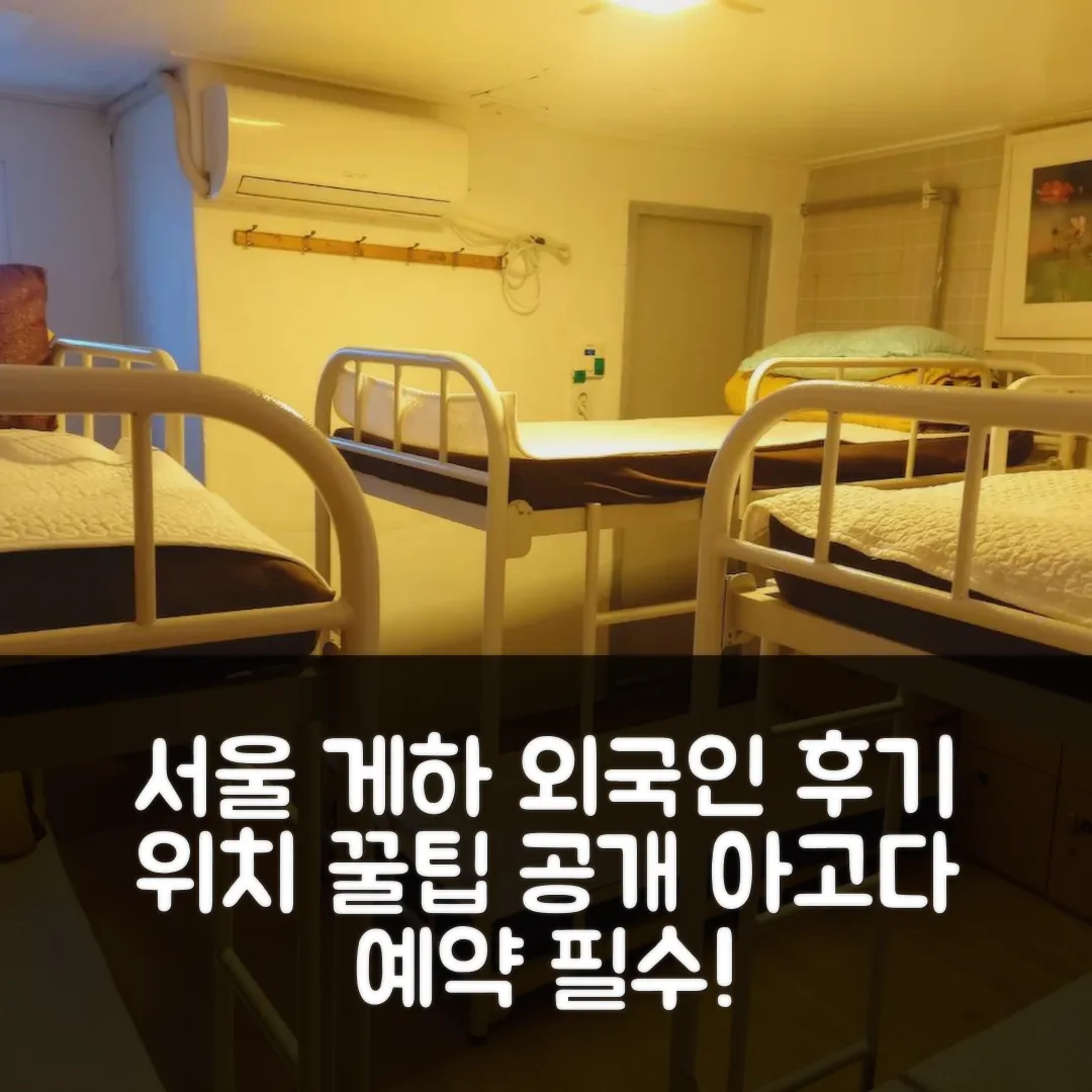 서울 게스트하우스 외국인 전용 후기: 서울 위치 꿀팁
