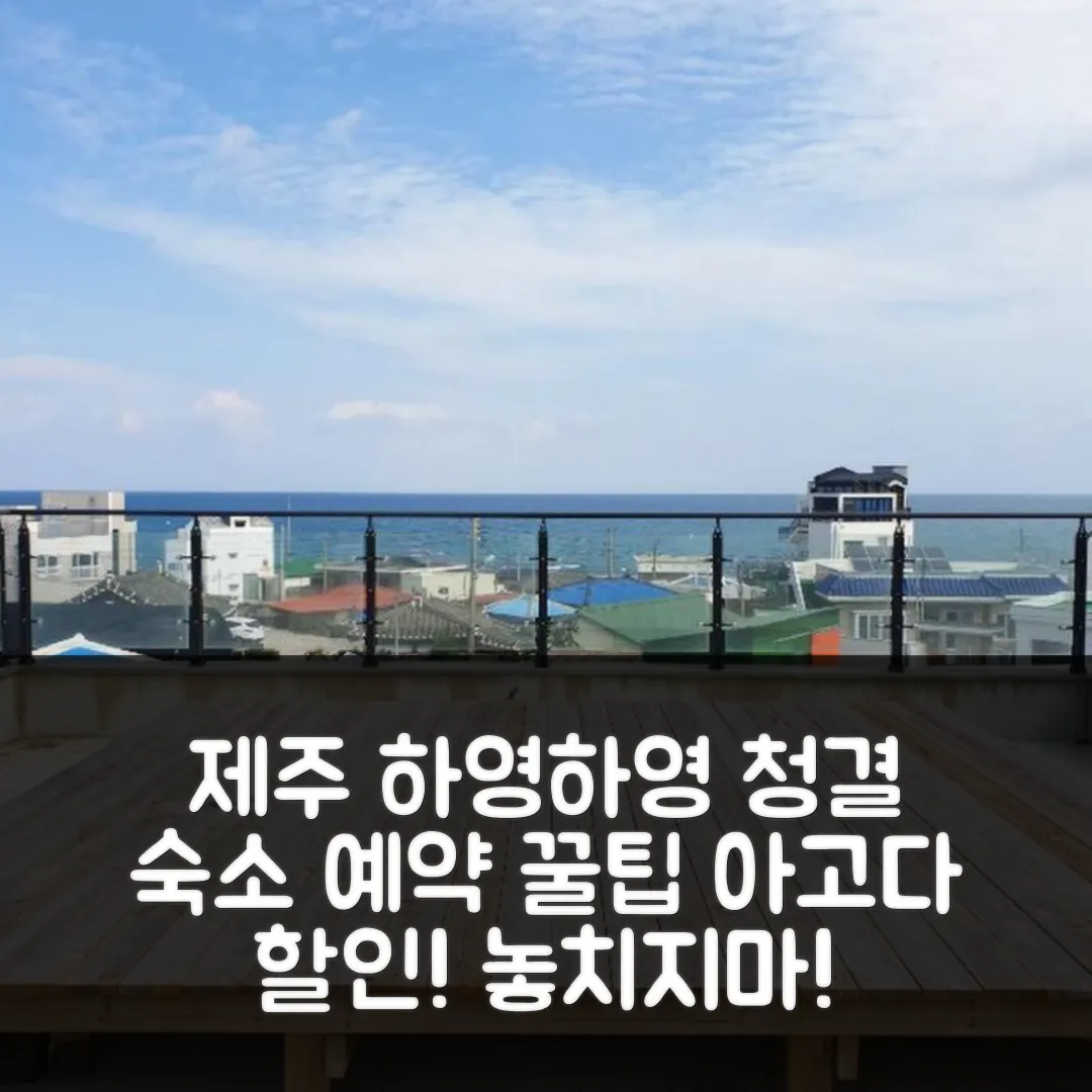 제주 하영하영 펜션 후기! 청결 제주 숙소 예약 꿀팁