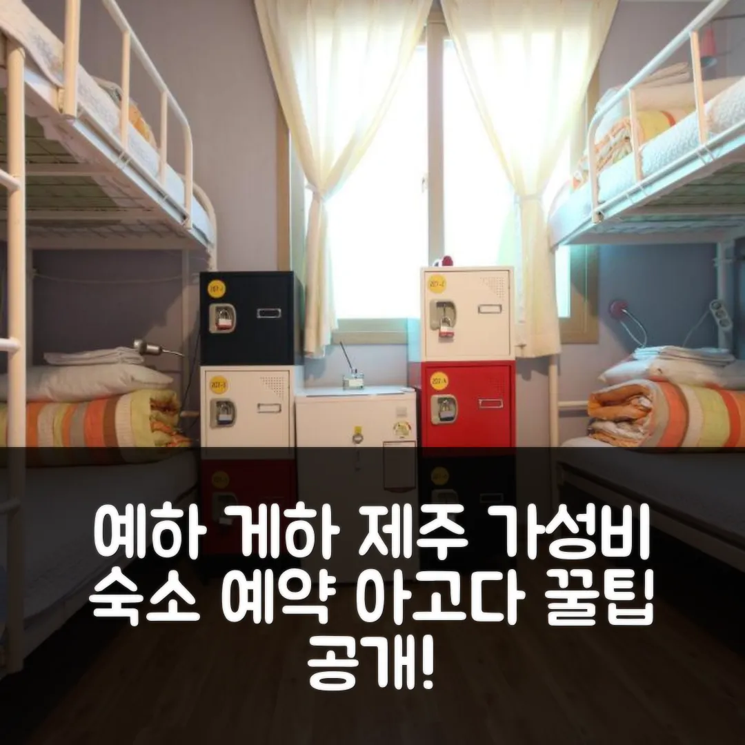 예하 게스트하우스 제주 후기! 가성비 예약 꿀팁