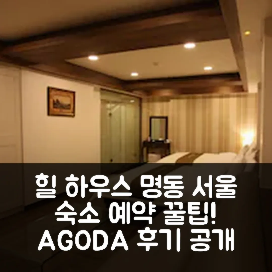 힐 하우스 호텔 명동 후기! 서울 위치 좋은 숙소 예약 팁