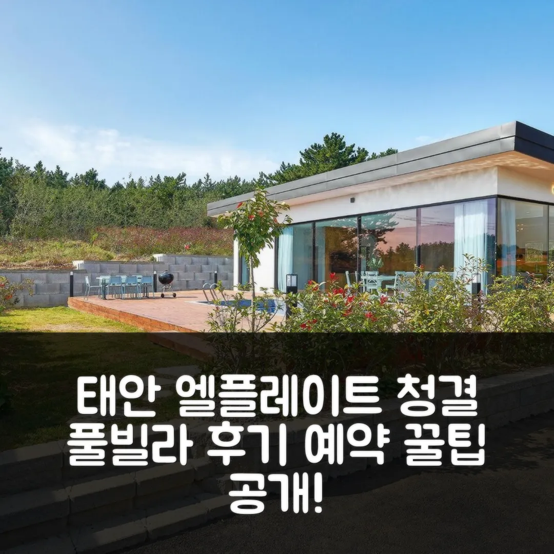 엘플레이트 풀빌라 태안 후기! 청결 숙소 예약 꿀팁