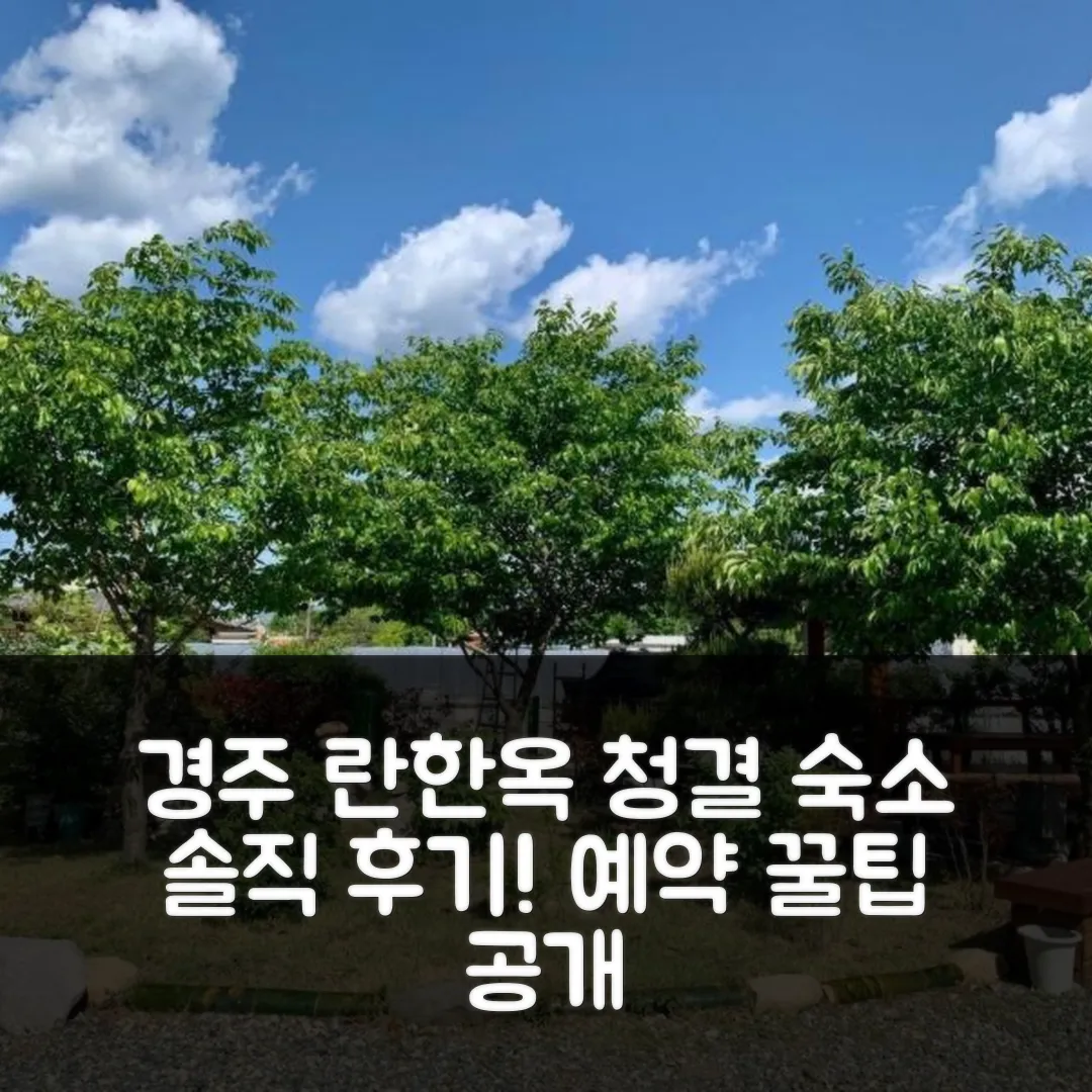 경주 란한옥스테이 청결 후기! 경주 숙소 예약 팁