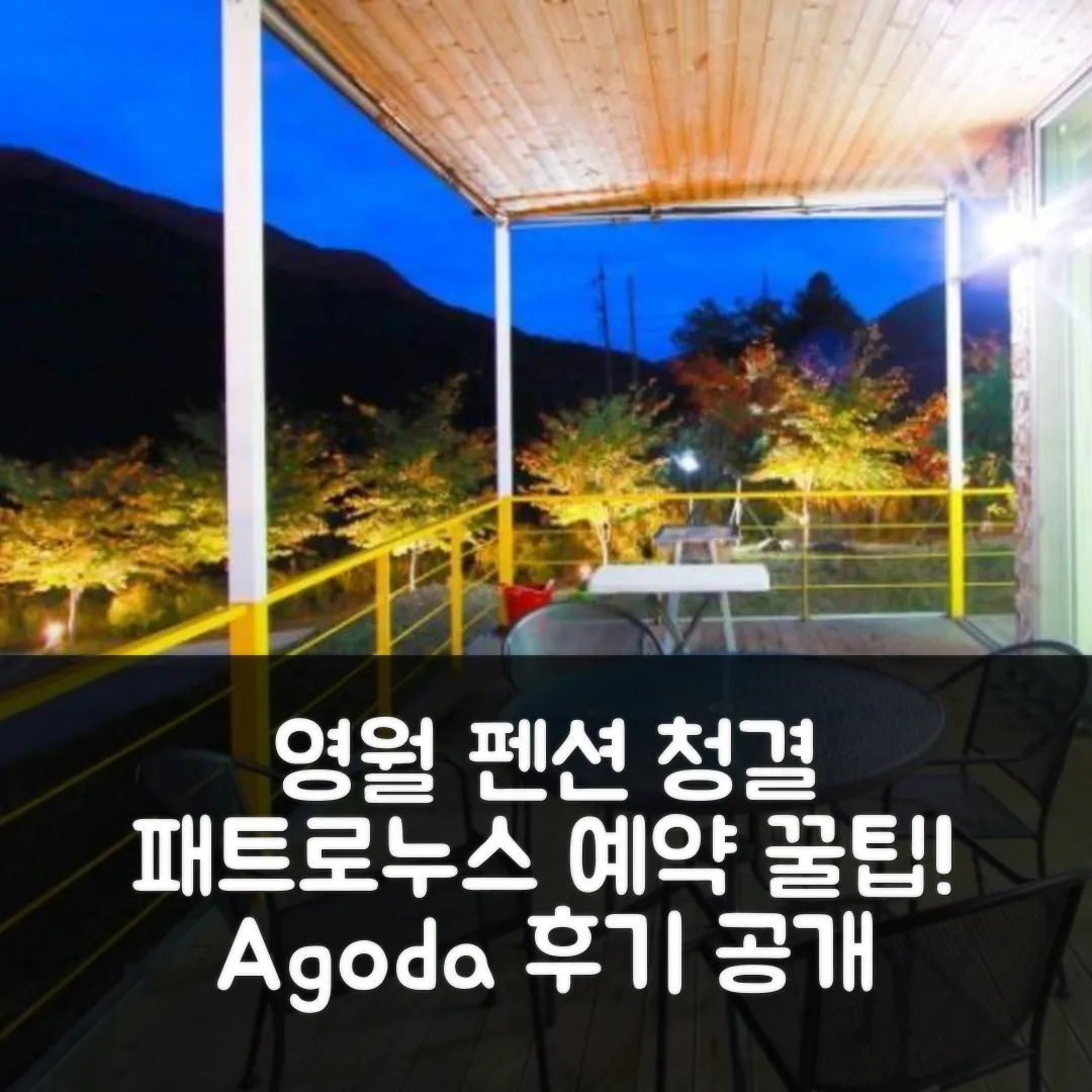 영월 패트로누스펜션 청결 후기! 예약 꿀팁 (영월