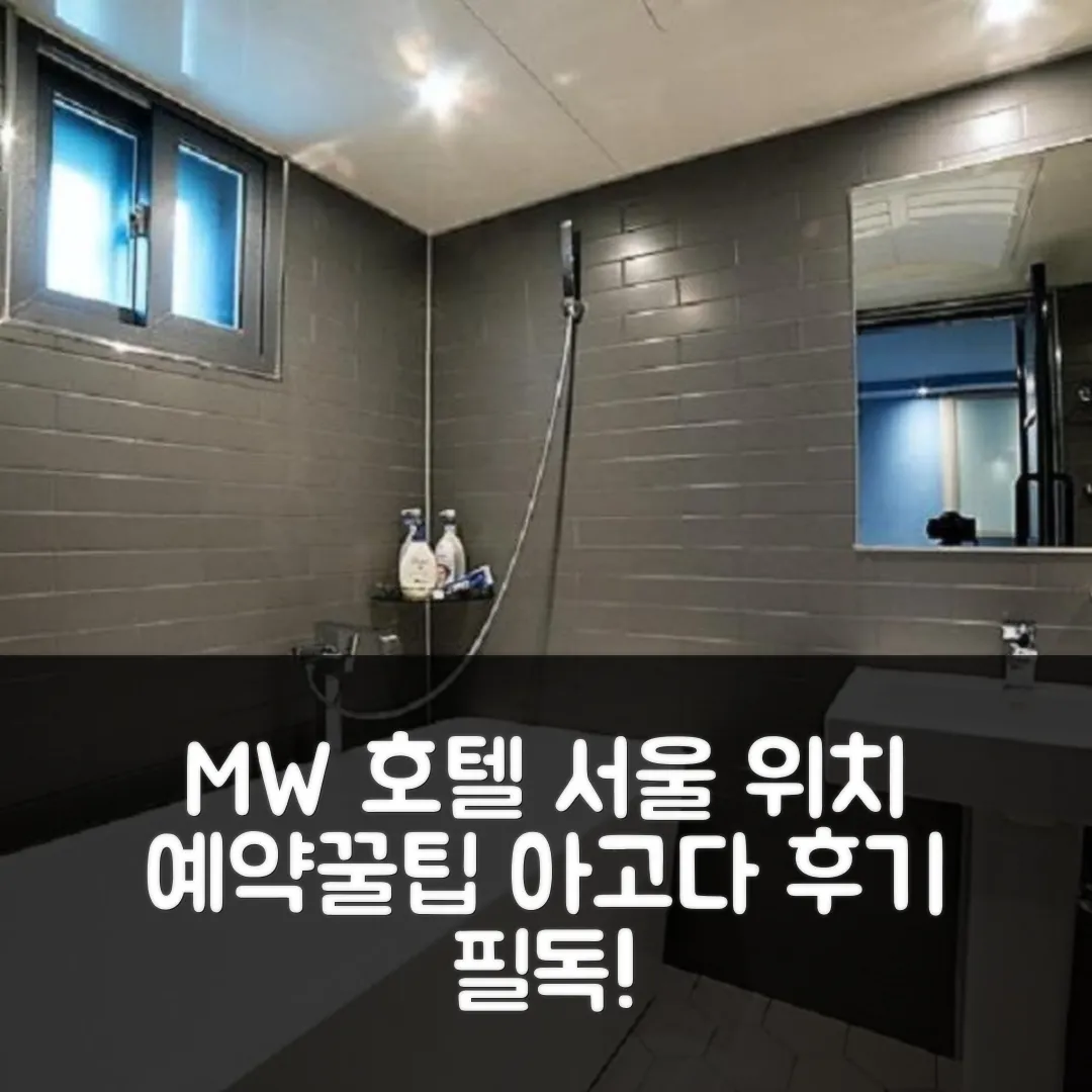 엠더블유 호텔 서울 위치 좋은 후기 앤 예약 꿀팁