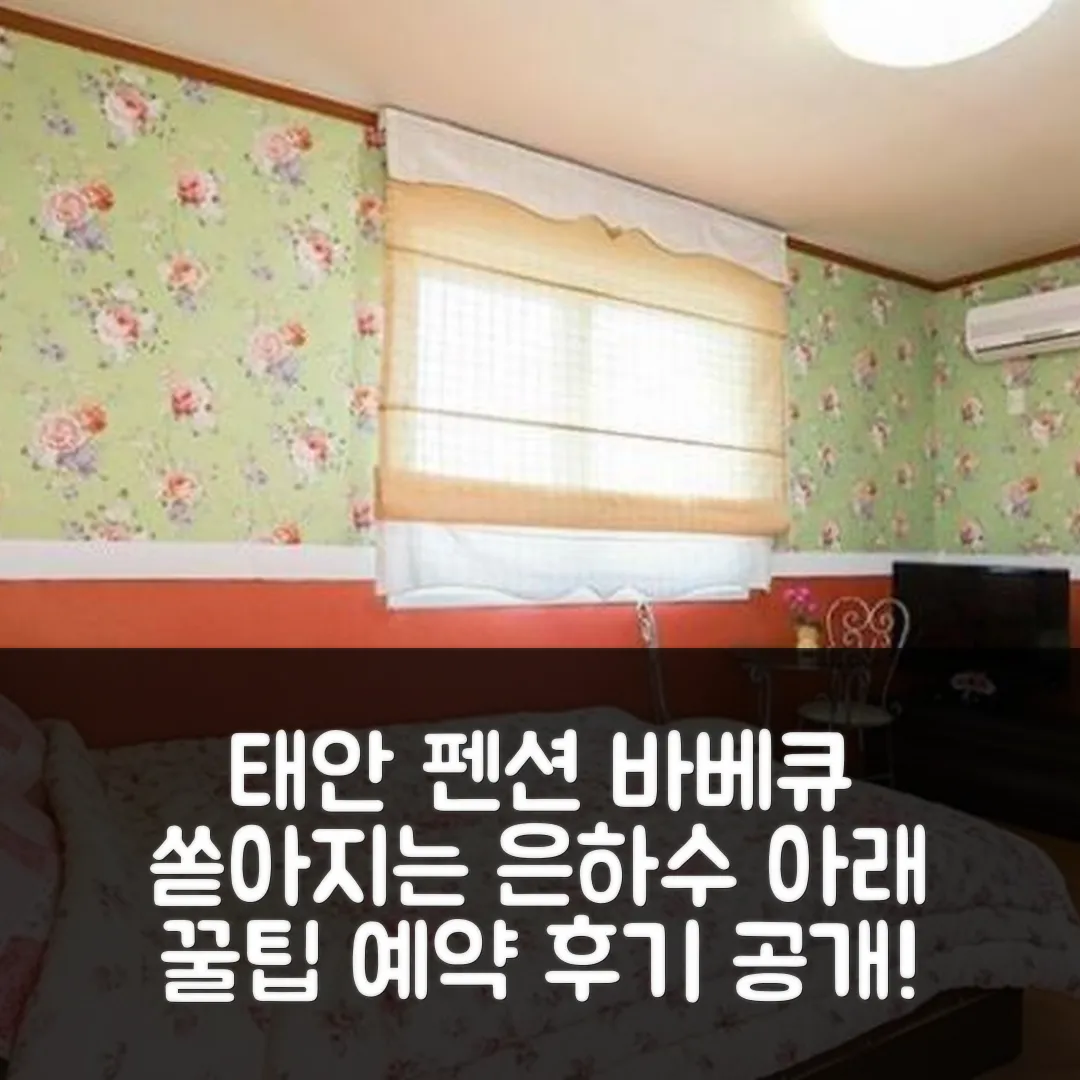 태안 휴양림은하수펜션 바베큐 예약후기 앤 꿀팁