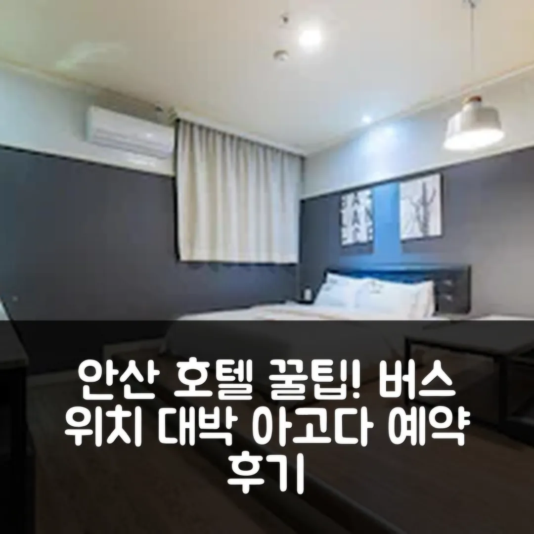 안산 호텔 버스 위치 대박! 예약 후기 앤 꿀팁