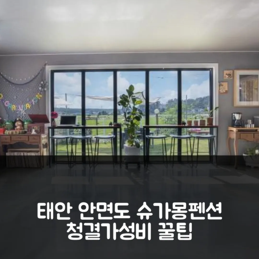 태안 안면도 슈가몽펜션 후기! 청결+가성비 예약 꿀팁(태안