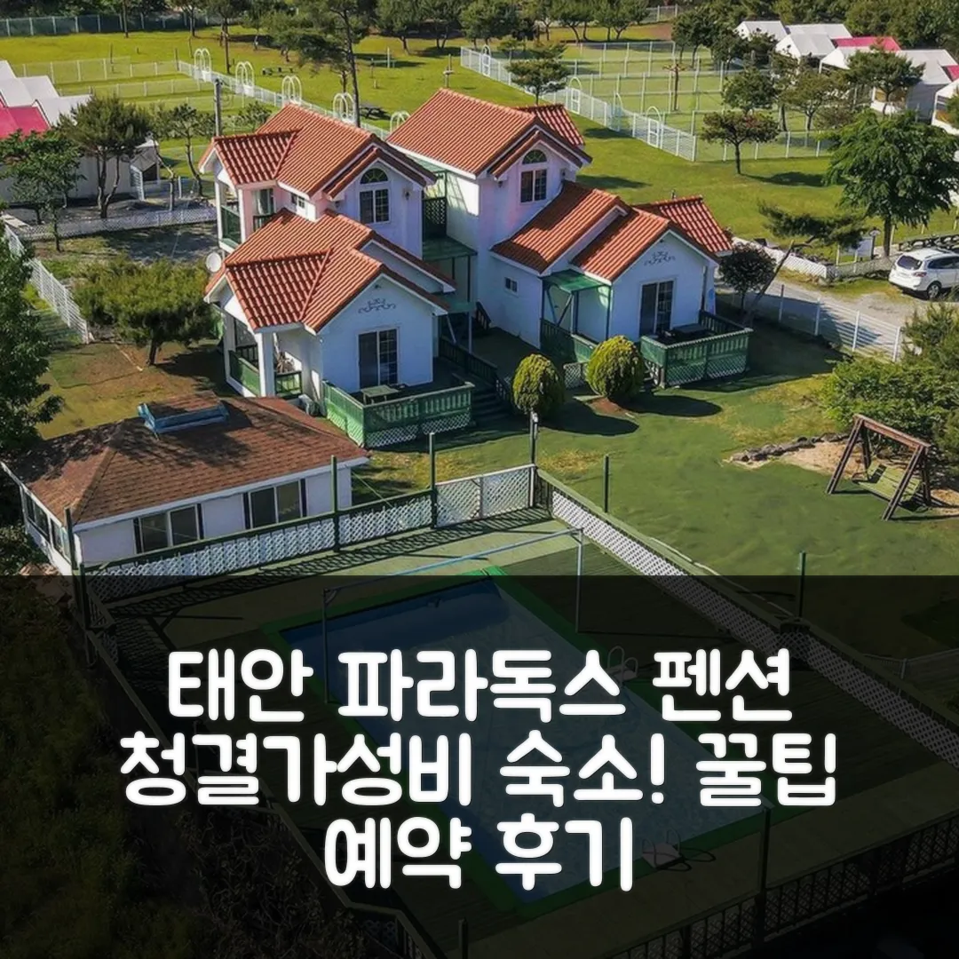 태안 파라독스 펜션 예약 후기! 청결+가성비 꿀팁
