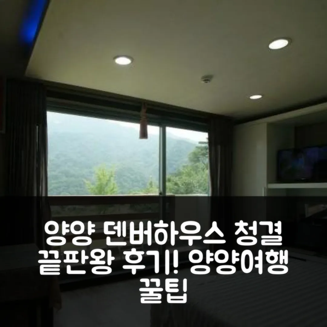 양양 덴버하우스펜션 청결 후기! 양양 여행 꿀팁
