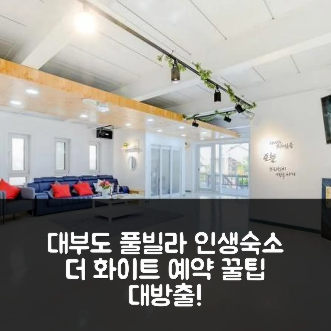 대부도 더 화이트 풀빌라 안산 후기! 인생숙소 예약 꿀팁
