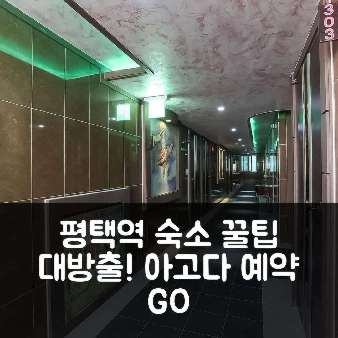 평택 짝 후기: 평택역 위치 좋은 숙소 예약 꿀팁