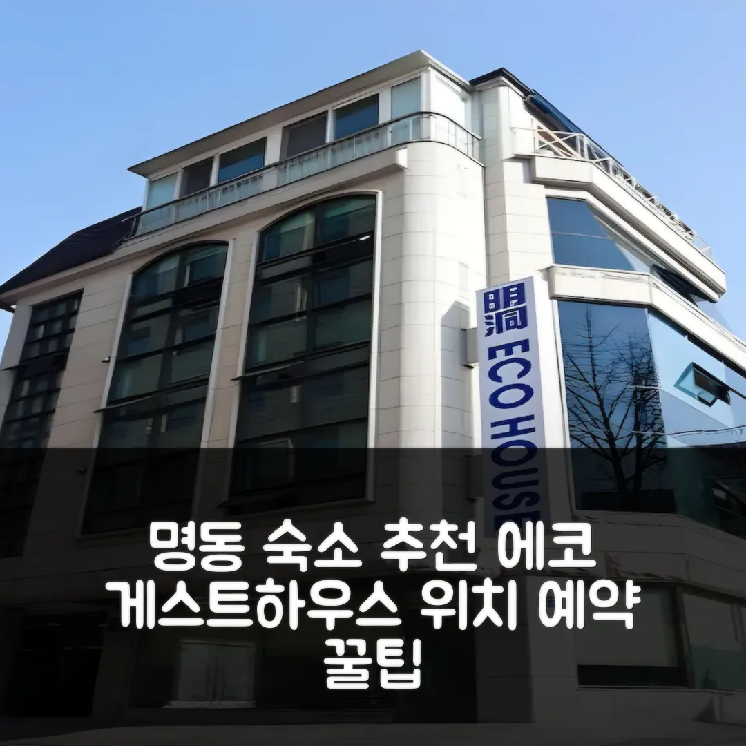 명동 에코 게스트하우스 서울 후기: 위치👍 예약 꿀팁