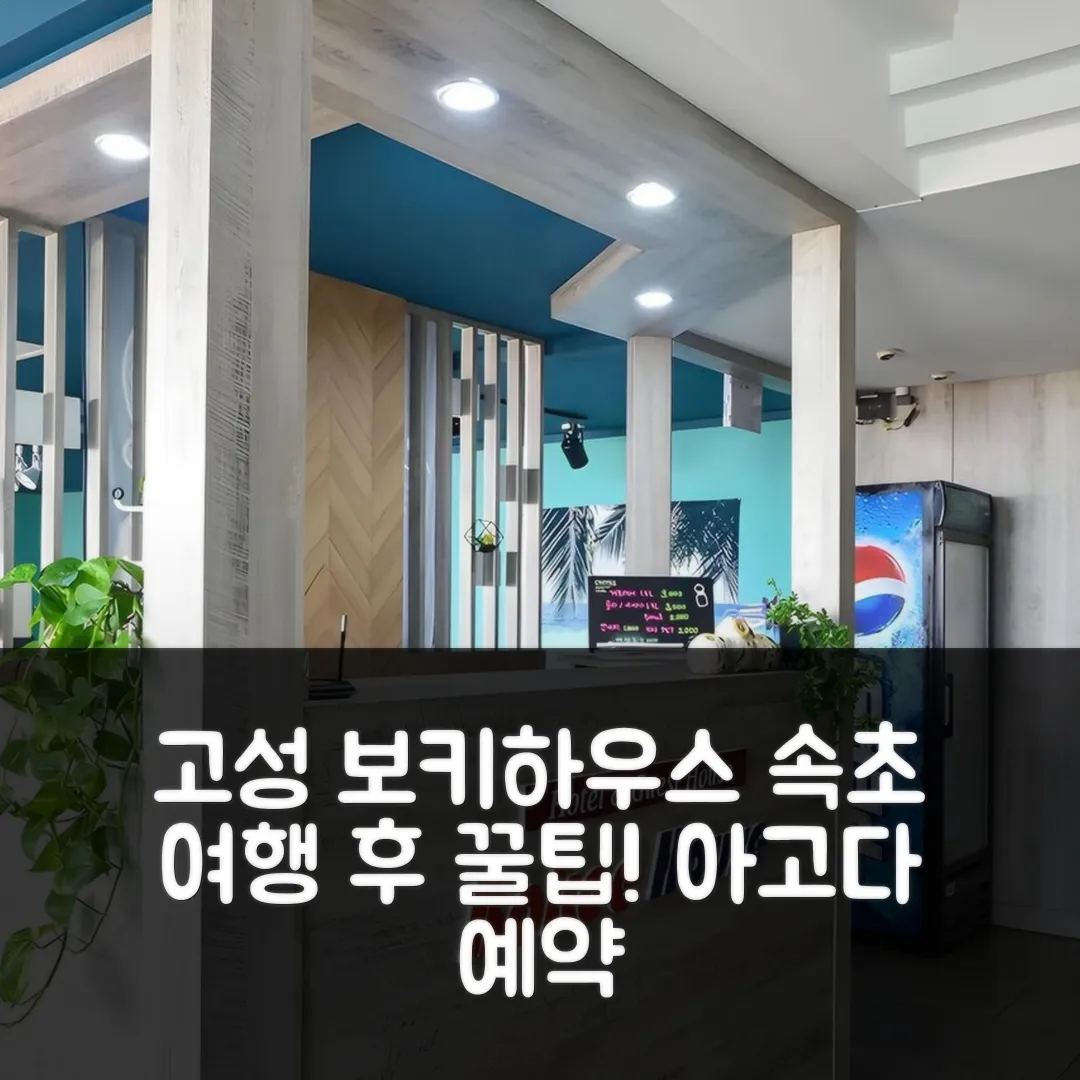 고성 보키하우스 펜션, 속초 여행 후기 앤 예약 꿀팁