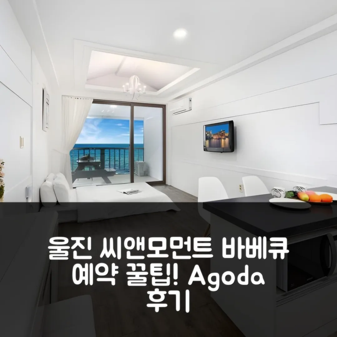 울진 씨앤모먼트펜션 후기! 바베큐 예약 꿀팁 (울진