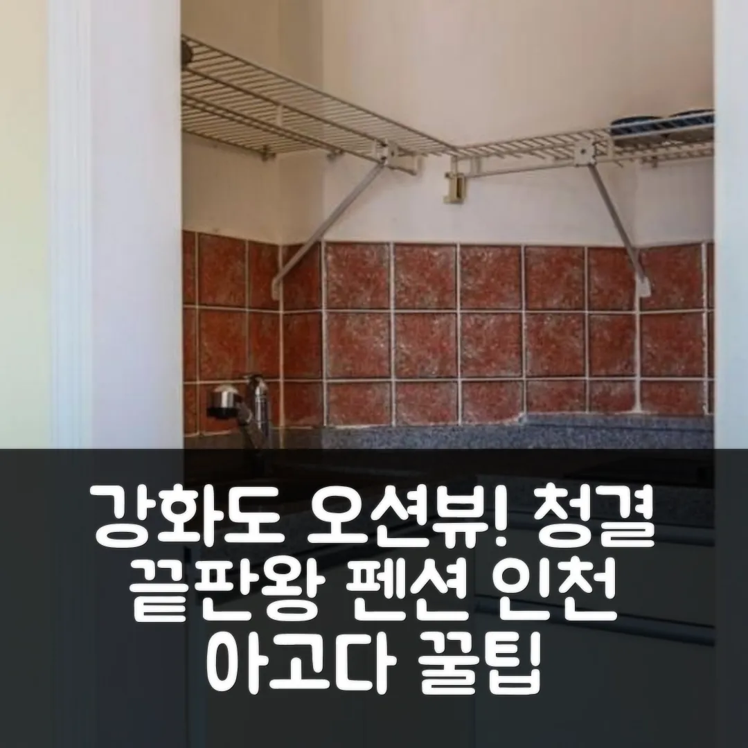 강화도 바다가그리운나무펜션 청결 후기 앤 인천 예약 꿀팁