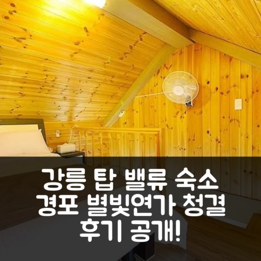 강릉 경포별빛연가펜션 청결 후기! 강릉 탑 밸류 숙소
