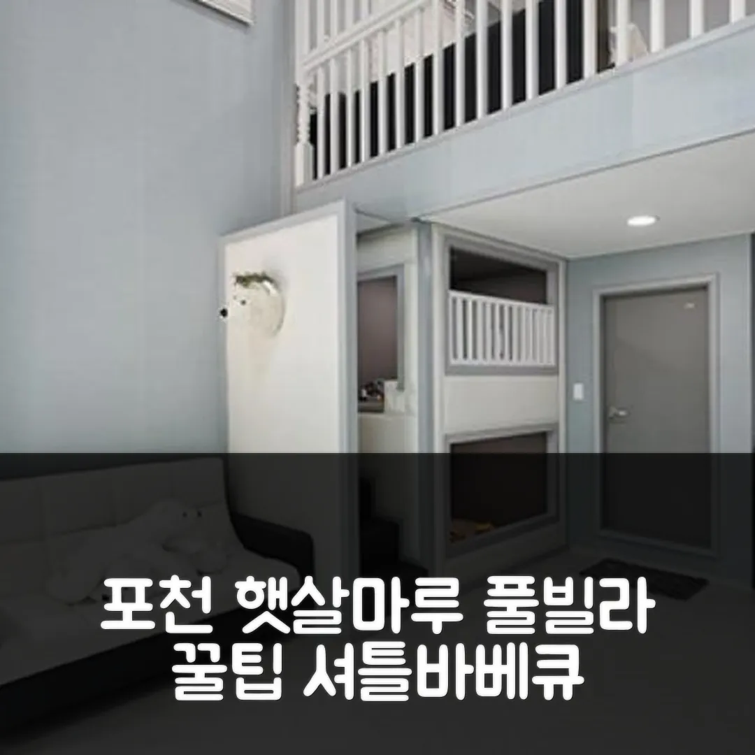 포천 햇살마루실우풀빌라 후기! 셔틀/바베큐 꿀팁