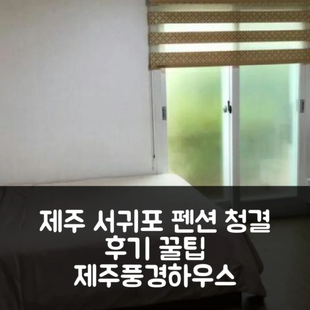 서귀포 제주풍경하우스펜션 청결 후기 앤 제주 꿀팁